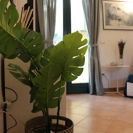 55 - Complesso Residenziale Terme Di Casteldoria Santa Maria Coghinas