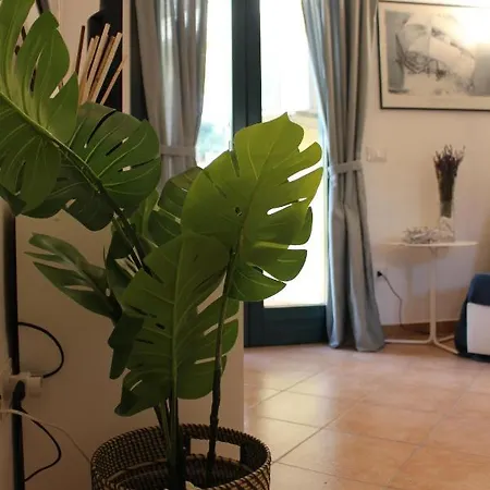55 - Complesso Residenziale Terme Di Casteldoria *